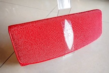 bags stingray 