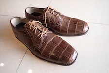  shoes crocodile 